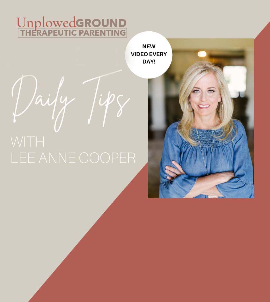 Unplowed Ground Parenting Strategies for Parenting Challenging Children